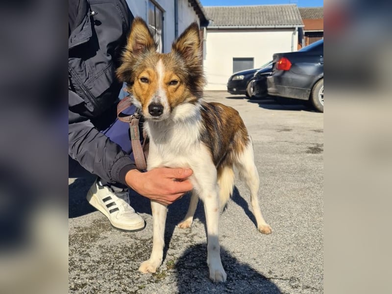 Uma ein agiles Mädchen