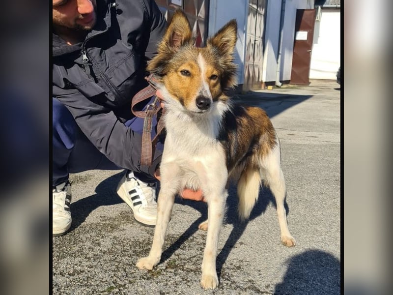 Uma ein agiles Mädchen