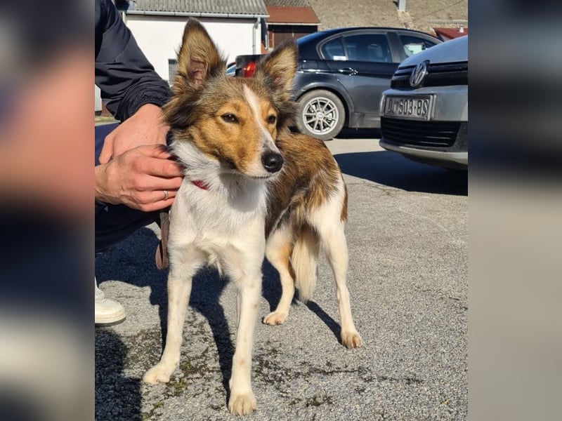 Uma ein agiles Mädchen