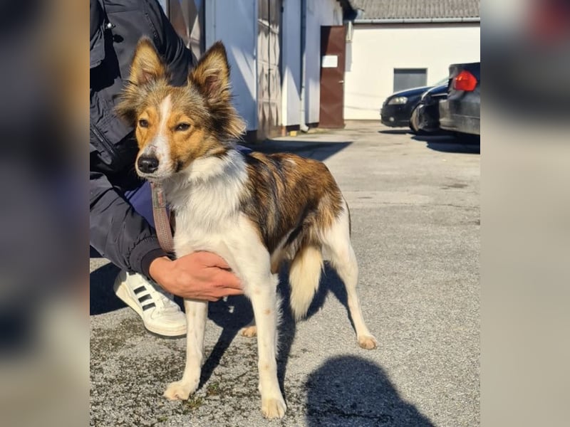 Uma ein agiles Mädchen