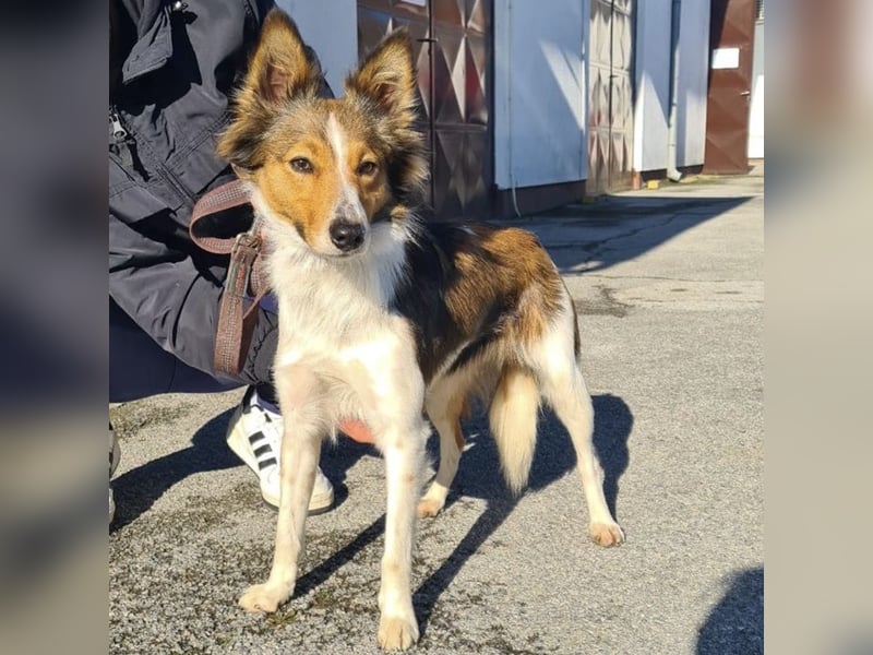 Uma ein agiles Mädchen