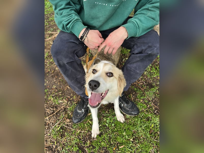 Buffy: sie liebt Menschen über alles