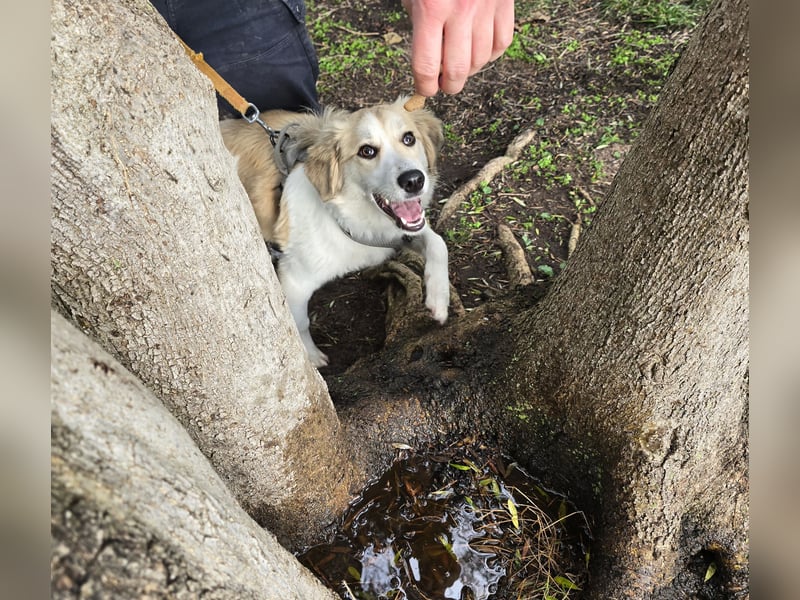 Buffy: sie liebt Menschen über alles