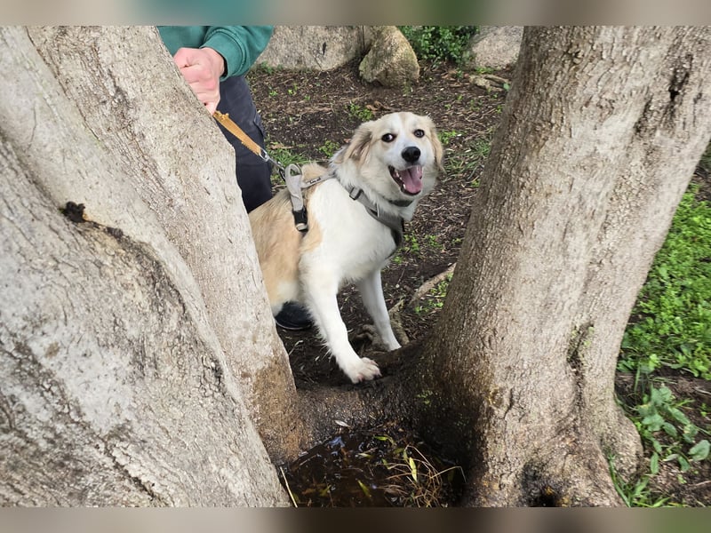 Buffy: sie liebt Menschen über alles