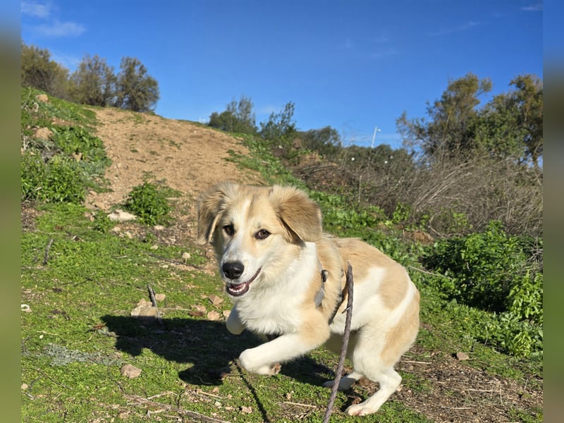 Buffy: ein Schatz für "Überall mit dabei"