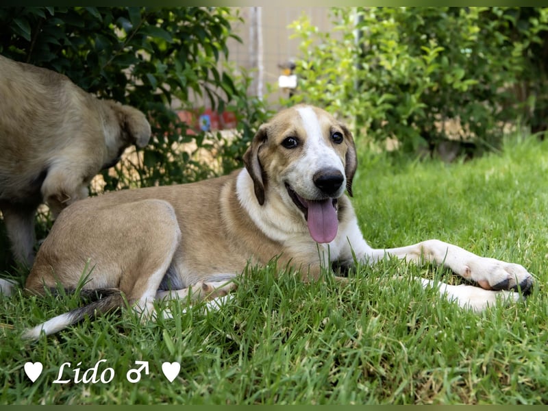 Liana und Lido suchen ein Zuhause