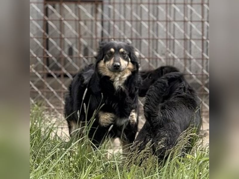 Edna eine sanfte Seele