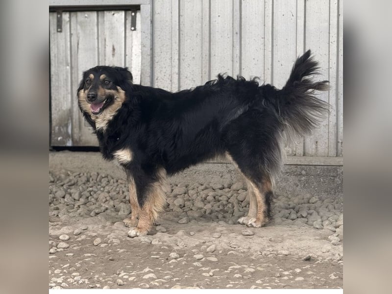 Edna eine sanfte Seele