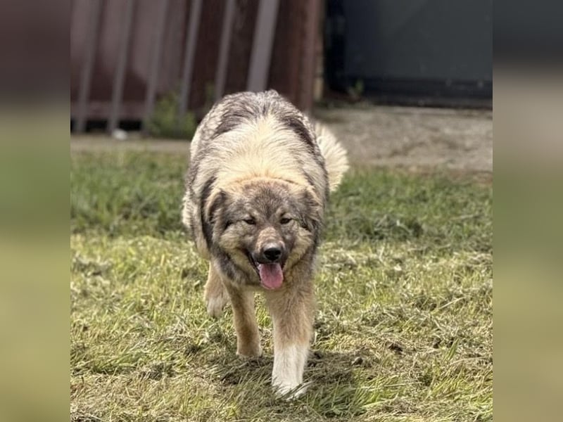 Mia braucht Liebe und Geborgenheit