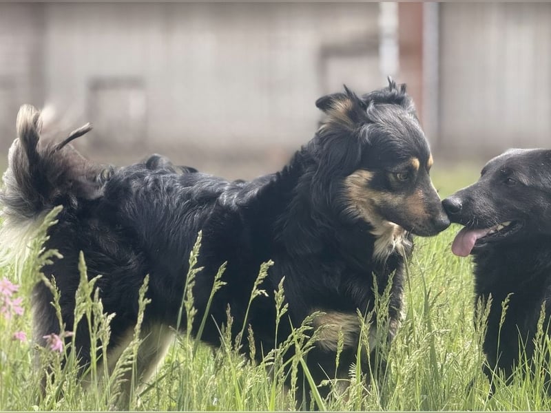 Edna eine sanfte Seele