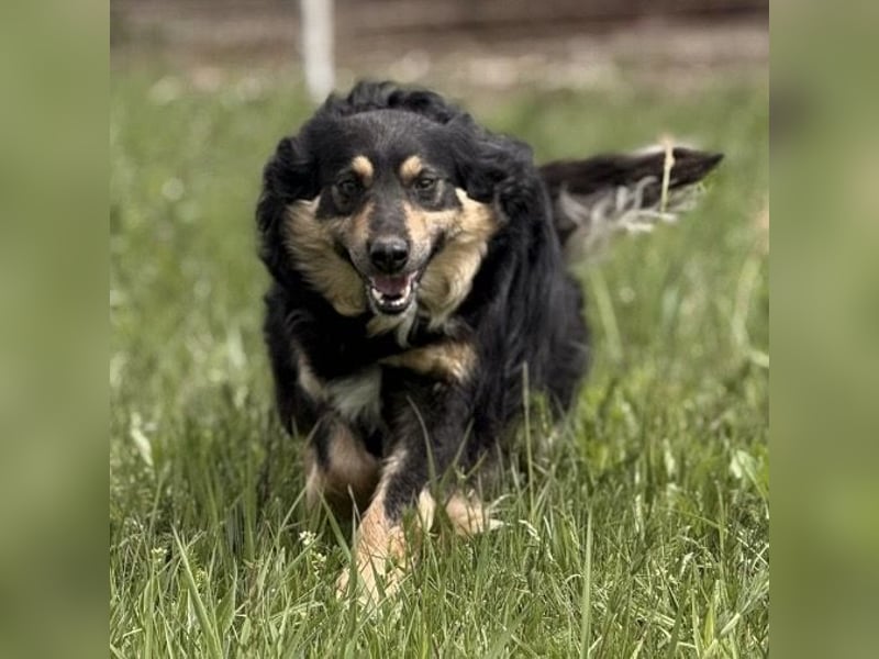 Edna eine sanfte Seele