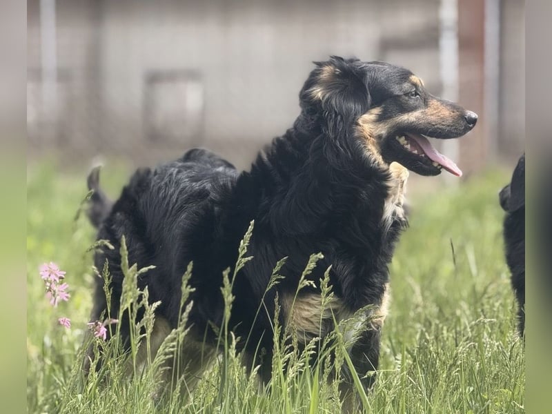 Edna eine sanfte Seele
