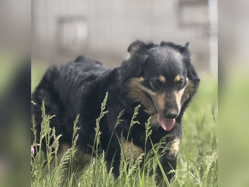 Edna eine sanfte Seele