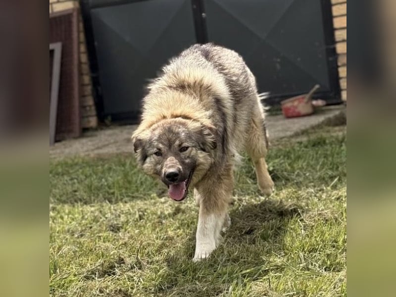 Mia braucht Liebe und Geborgenheit