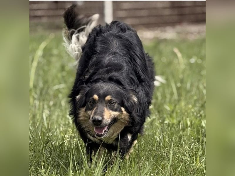 Edna eine sanfte Seele