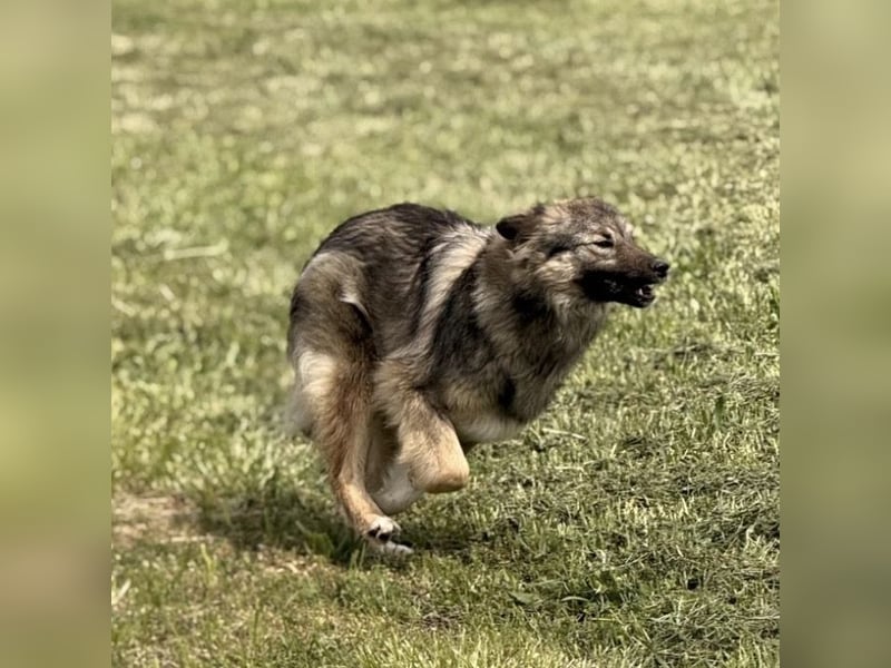 Mia braucht Liebe und Geborgenheit