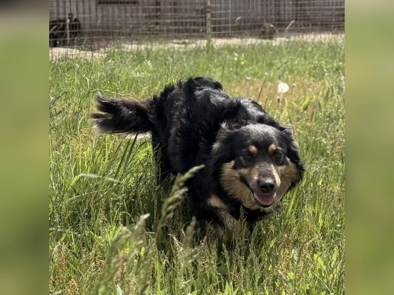 Edna eine sanfte Seele