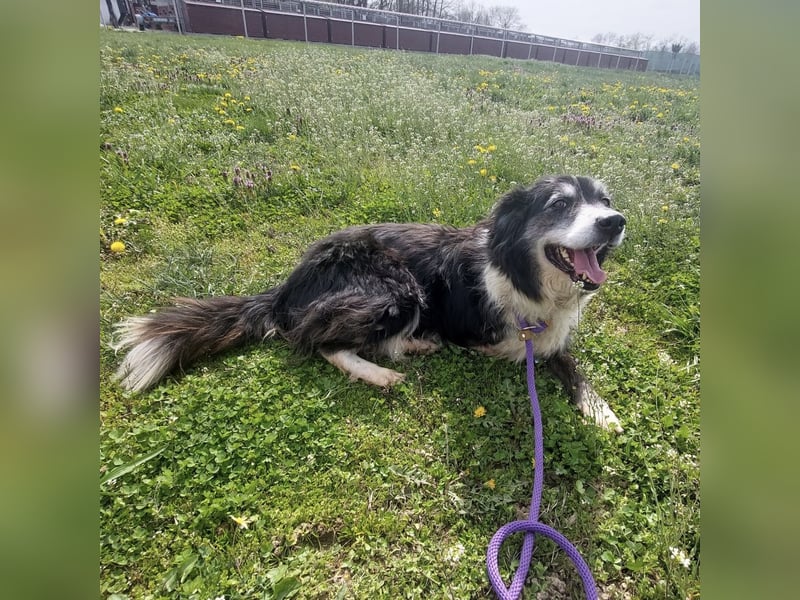 Die allerliebste Grace sucht ein Zuhause