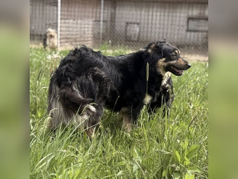 Edna eine sanfte Seele