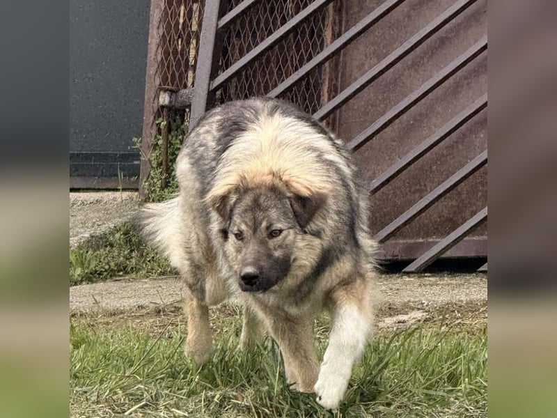 Mia braucht Liebe und Geborgenheit