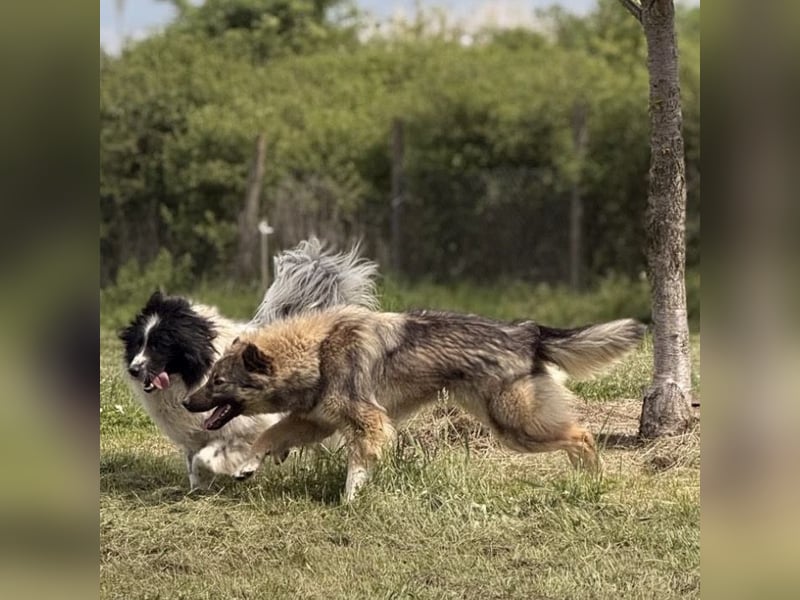 Mia braucht Liebe und Geborgenheit