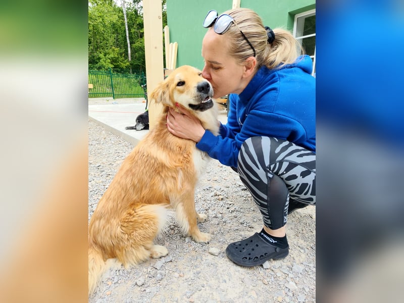 Jule eine absolute Traumhündin