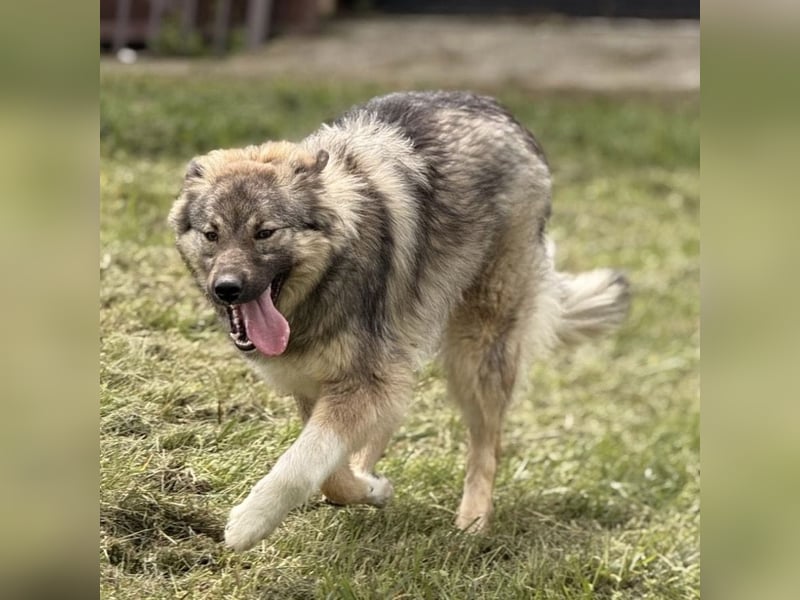 Mia braucht Liebe und Geborgenheit