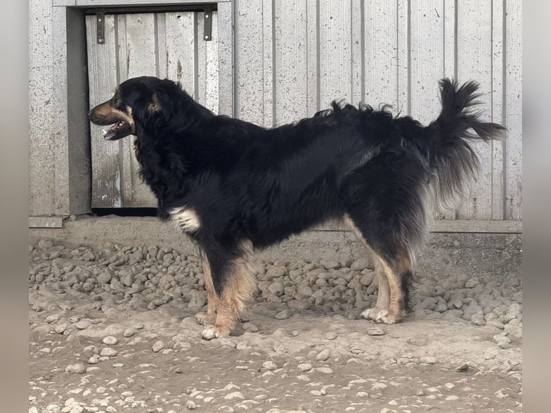 Edna eine sanfte Seele