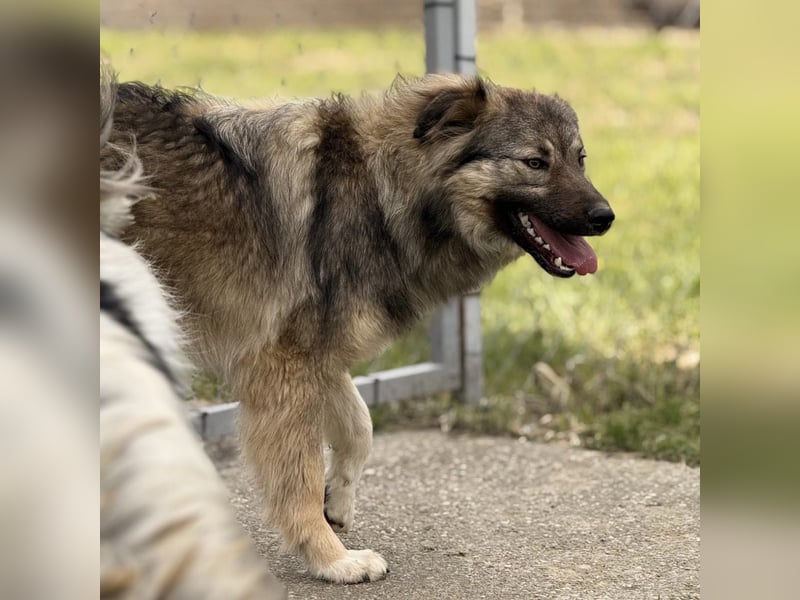 Mia braucht Liebe und Geborgenheit