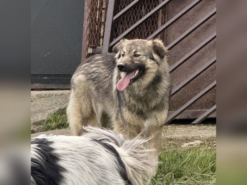 Mia braucht Liebe und Geborgenheit