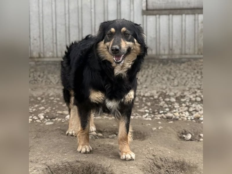 Edna eine sanfte Seele