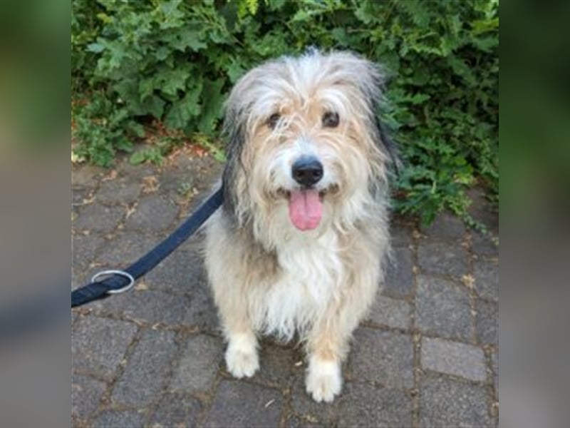 Angie wartet in 66989 Höheischweiler auf dich