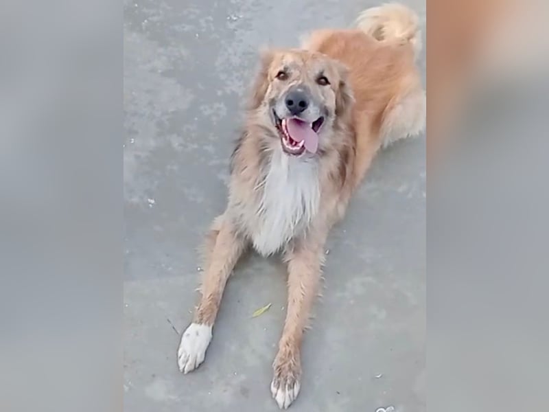 Honey, wartet schon so lange