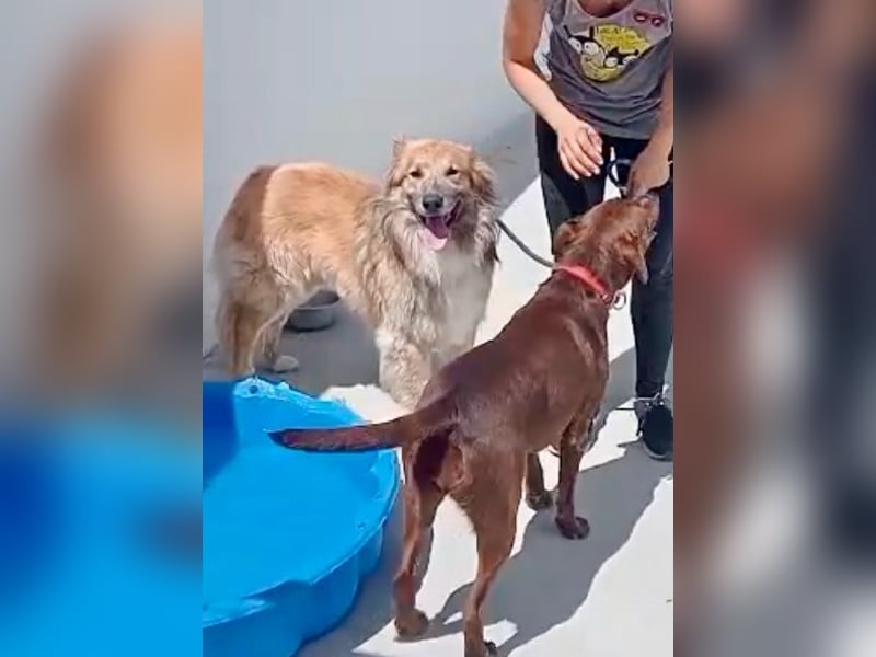 Honey, wartet schon so lange