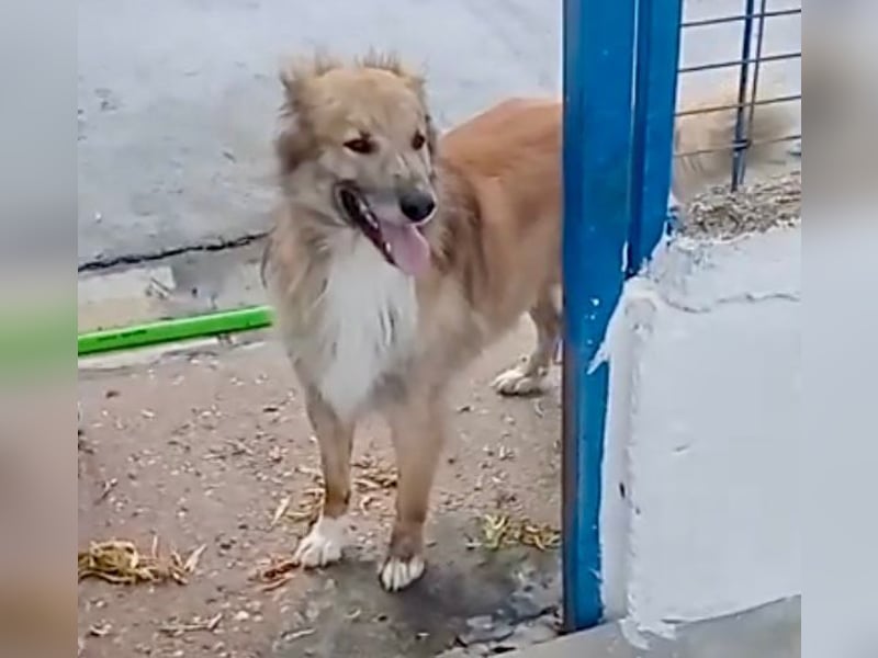 Honey, wartet schon so lange