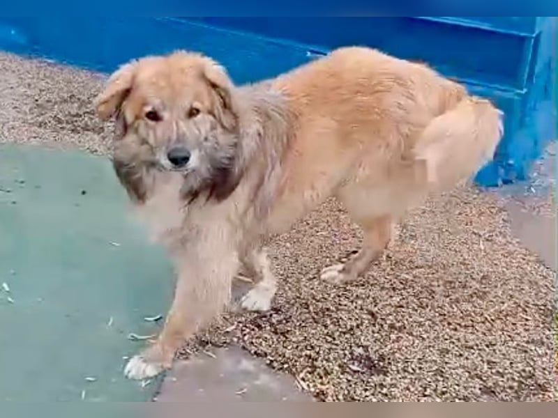 Honey, wartet schon so lange