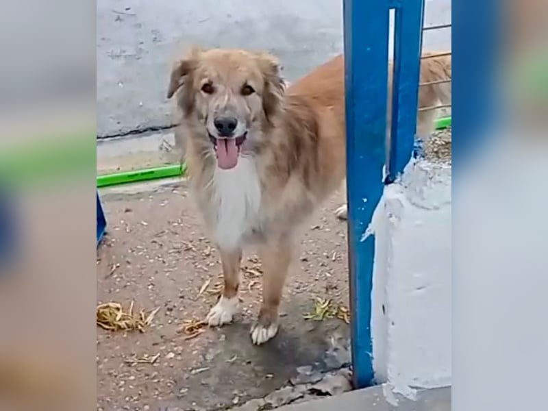 Honey, wartet schon so lange