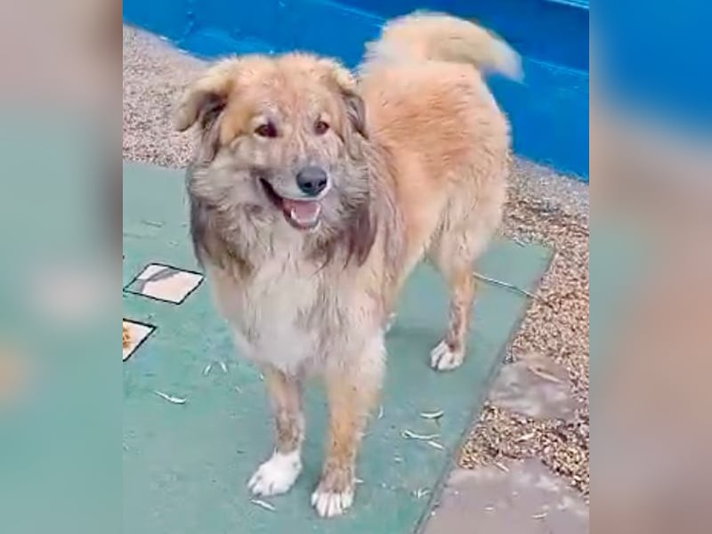 Honey, wartet schon so lange