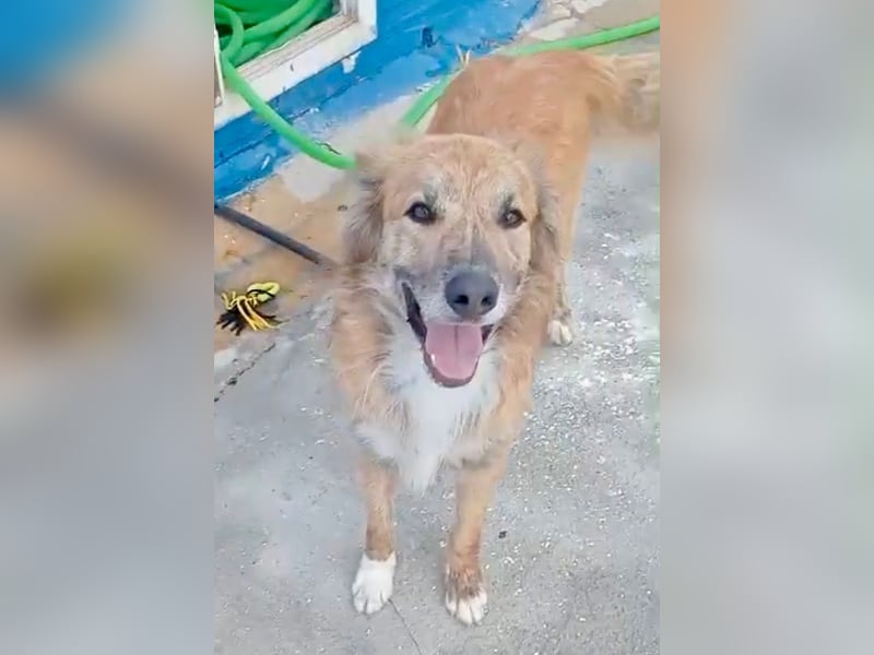 Honey, wartet schon so lange