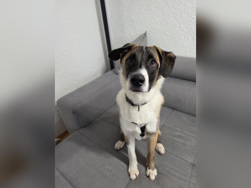 Woody Fröhlich sucht seine Traumfamilie