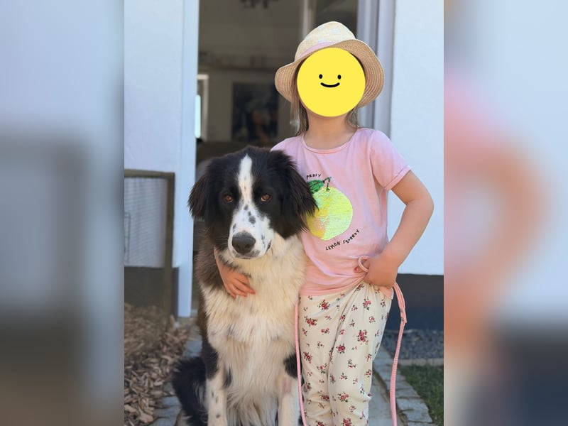 Mara, sehr kinderliebe und freundliche Hündin sucht Traumzuhause