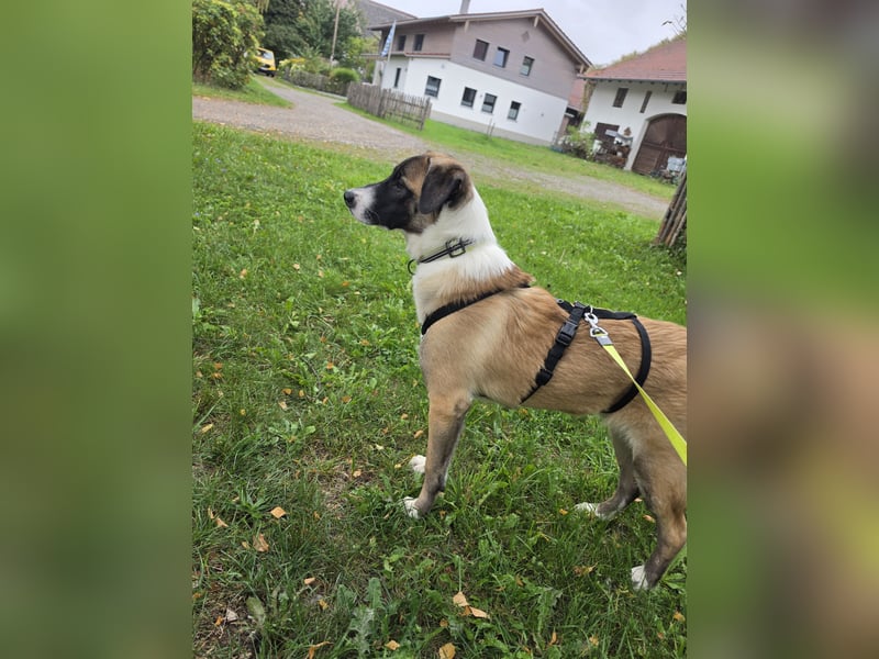 Woody Fröhlich sucht seine Traumfamilie