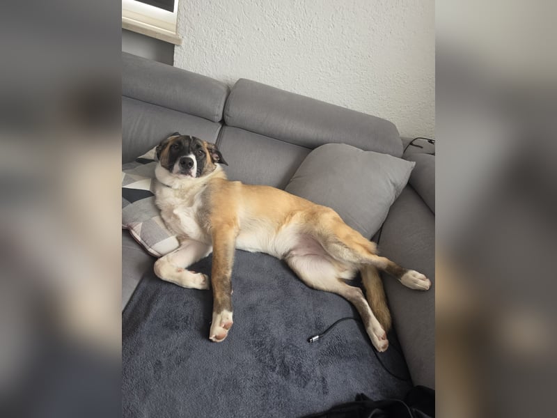 Woody Fröhlich sucht seine Traumfamilie