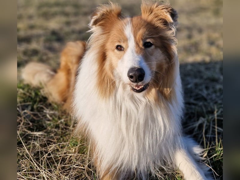 Marley