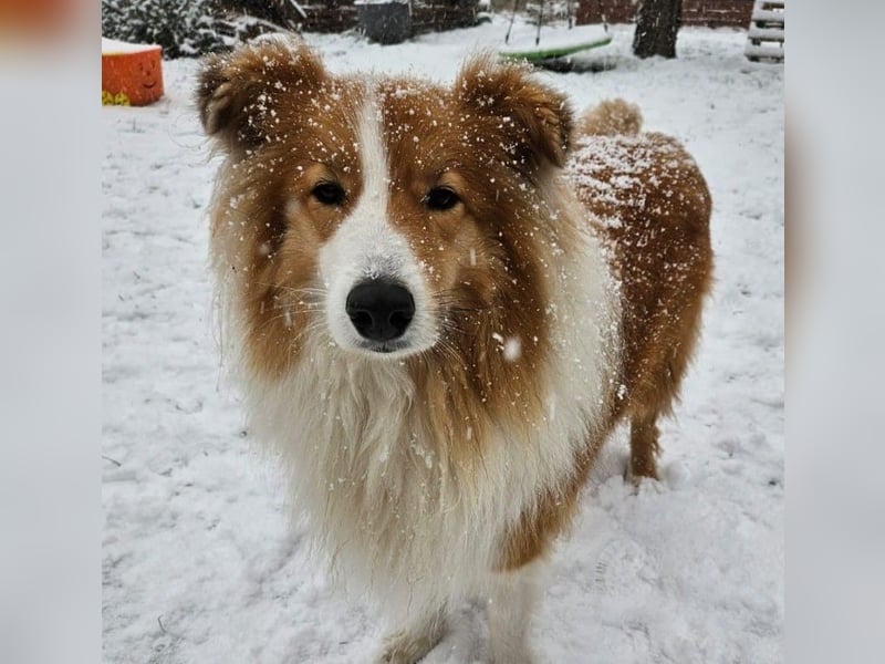 Marley
