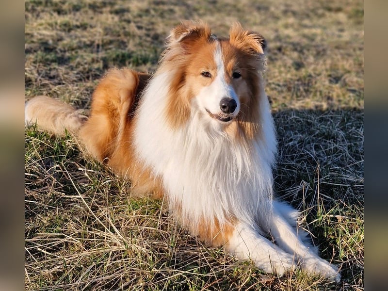 Marley