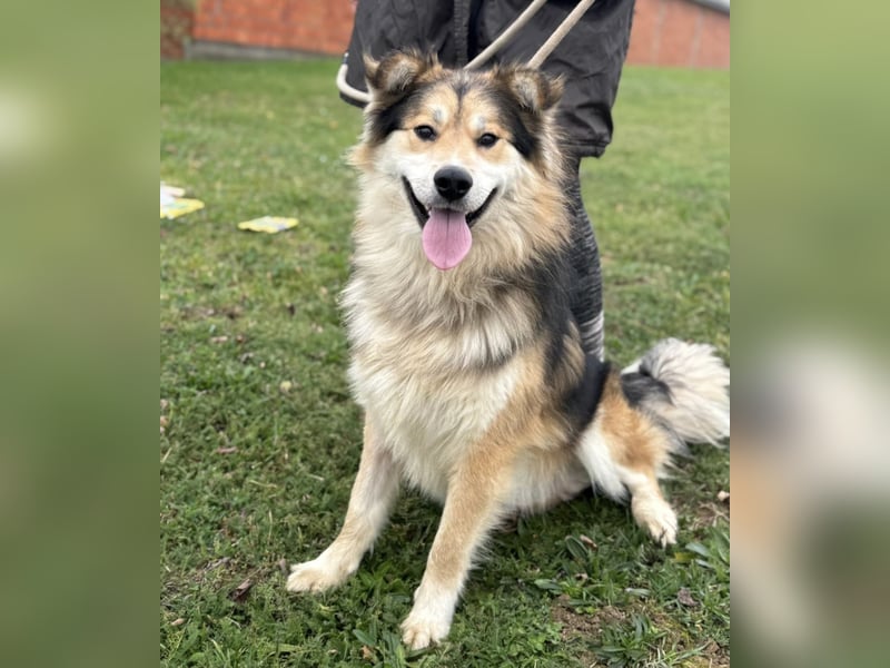 Boki ein wundervoller freundlicher Schatz