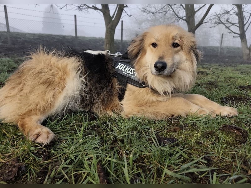 Nemo ein sehr trauriger Engel