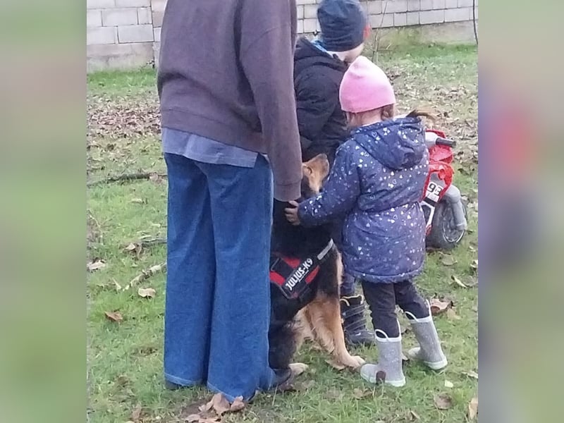 Bonze ein absoluter Schatz