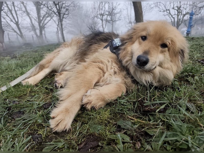 Nemo ein sehr trauriger Engel